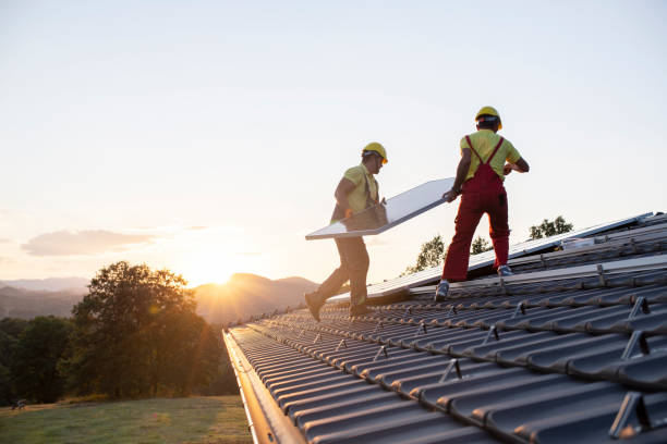 Best Skylight Installation and Repair  in Glencoe, MN