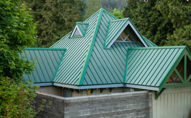 Best Roof Moss and Algae Removal  in Glencoe, MN