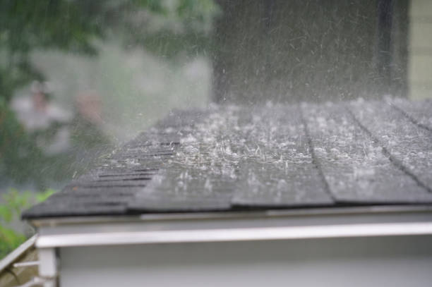 Best Roof Insulation Installation  in Glencoe, MN